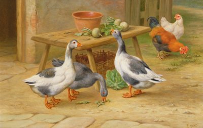 Ganzen en pluimvee voeren door Edgar Hunt
