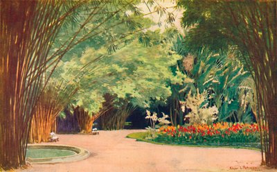 Een bamboebos - Botanische tuinen door Edgar L. Pattison