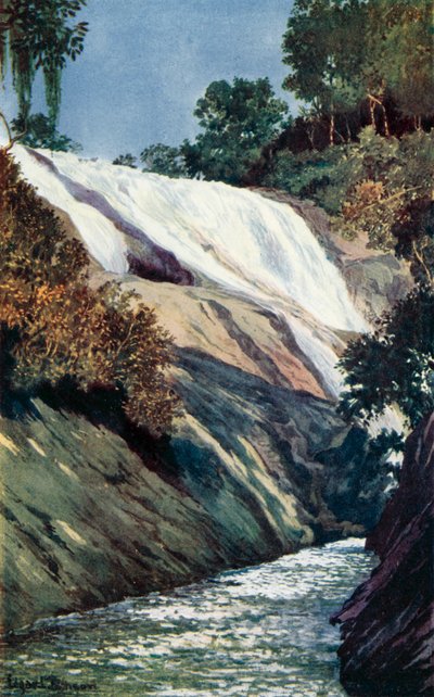 Een Waterval bij Tijuca, Rio (kleur litho) door Edgar L. Pattison