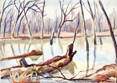 Rock Creek, Winter, ca. 1920-1929 door Edgar Nye