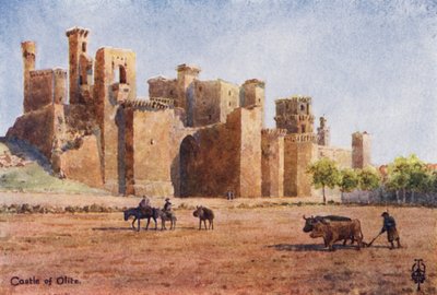 Noord-Spanje: Olite, het kasteel door Edgar T. A. Wigram