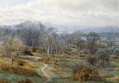 Hampstead Heath met uitzicht op Harrow on the Hill, ca. 1880 door Edith Martineau