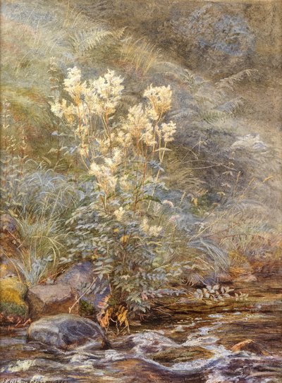 Moerasspirea naast een Beek, Invernesshire, ca. 1883 door Edith Martineau