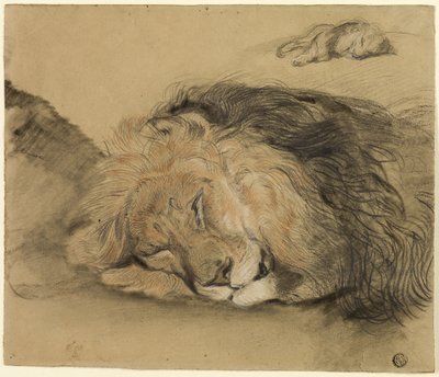 Leeuwenkop en schets van een leeuw (houtskool en grafiet) door Edme Charles Saint Marcel