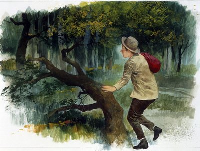 Kinderliteratuur: van de Apennijnen tot de Andes. Een jonge jongen alleen in het bos door Edmondo de Amicis