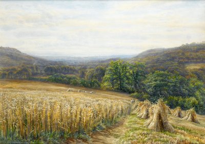 Oogsttijd nabij Ashburton, 1884 door Edmund George Warren