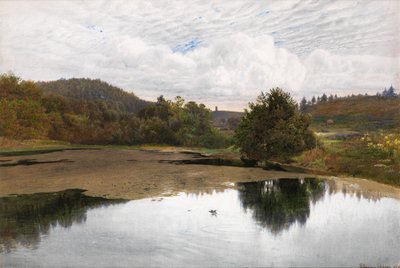 Leith Hill, vanaf Broadmoor, Surrey door Edmund George Warren