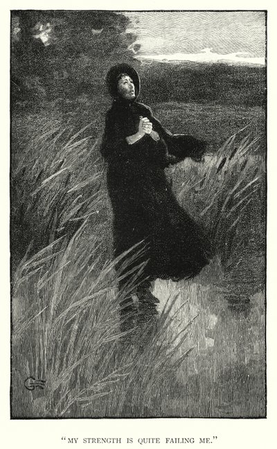 Illustratie voor Jane Eyre door Charlotte Bronte door Edmund Henry Garrett