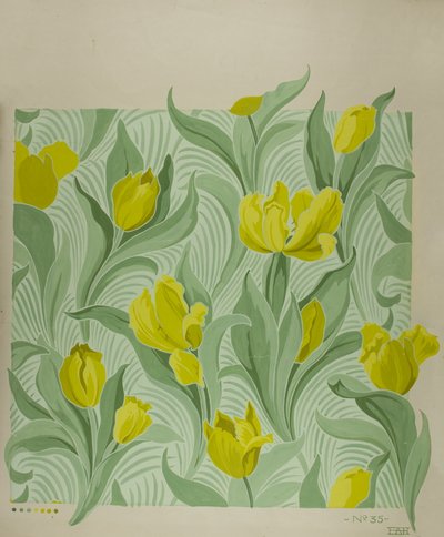 Tulipa door Edmund Hunter
