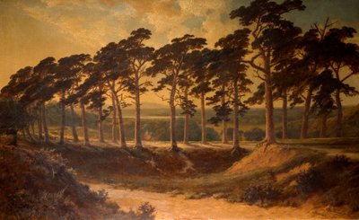 Harrow vanaf de Eerste, Hampstead Heath, 1875 door Edmund John Niemann