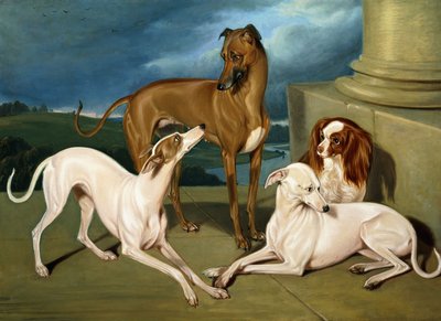 Windhonden en een King Spaniel, 1837 door Edmund Jr Havell