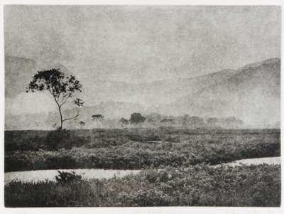 Oze Mist door Edouard Cremieux