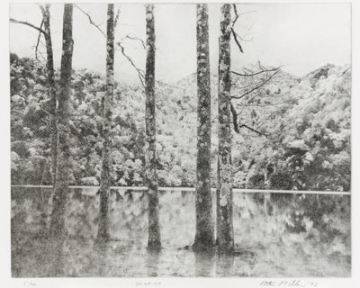 Sai-no-Ko, 1992 door Edouard Cremieux