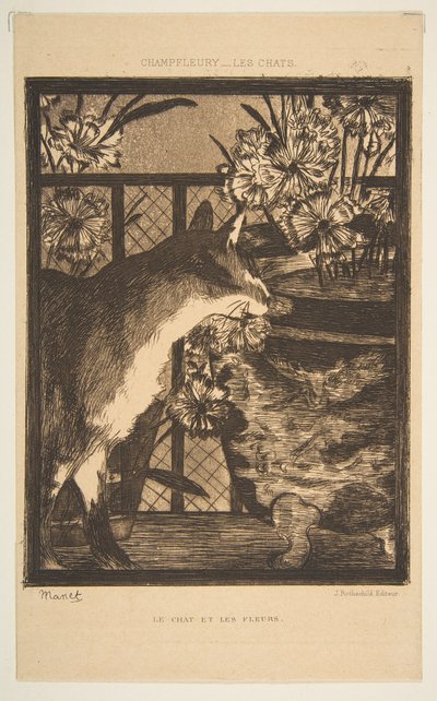 Kat en bloemen. Illustratie bij De Katten door Champfleury, 1869 door Édouard Manet