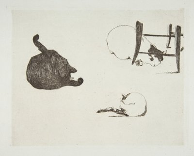 Katten, 1868-69 door Édouard Manet