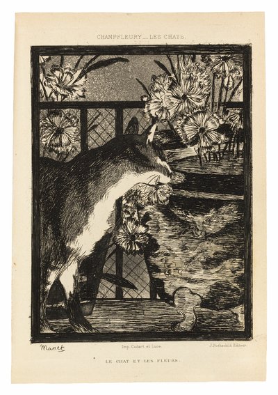 Katten door Édouard Manet