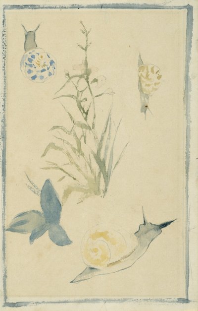 Schetsen van slakken, bloeiende plant door Édouard Manet