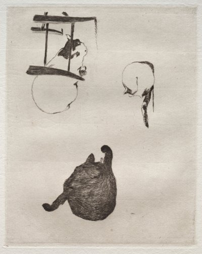 De katten door Édouard Manet