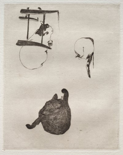 De katten door Édouard Manet