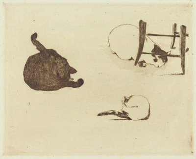 De katten, 1869 door Édouard Manet