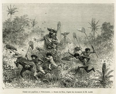 Een groep kinderen jaagt op vlinders, vergezeld door de auteur, in Villavicencio (Colombia), tekening door Riou, ter illustratie van het verhaal van Equinoxiaal Amerika (Colombia, Ecuador, Peru), in 1875-1876, door Ed. André, reiziger belast met missie doo door Edouard Riou