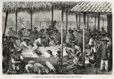 Hanenvechten en straatanimatie in Ibague (Colombia), tekening door Riou, ter illustratie van het verhaal van Equinoxiaal Amerika (Colombia, Ecuador, Peru), in 1875-1876, door Ed. Andre, reiziger belast met missie door de Franse regering. Gravure in 