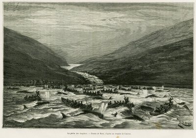 Dolfijnvissen. Gravure door Riou ter illustratie van het verhaal Een maand in de archipel van de Faeröer (Faroer, Feroe, Denemarken), door H.Labonne, in le tour du monde 1887, onder leiding van Edouard Charton (1807-1890), Hachette, Parijs. door Edouard Riou