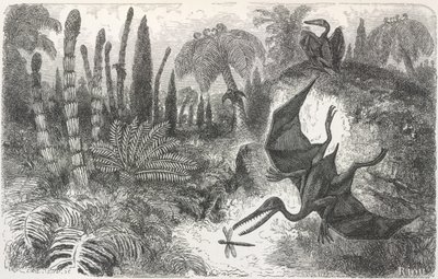 Landschap uit de Lias-periode. Illustratie van een Pterodactylus door Edouard Riou