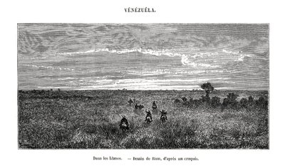 Los Llanos, Venezuela, 19e eeuw door Edouard Riou