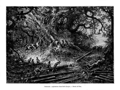 Mahonieboomkap, Guatemala, 19e eeuw door Edouard Riou