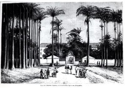 Place des Palmistes, Cayenne, Guyana door Edouard Riou
