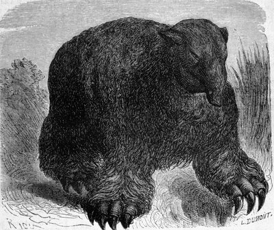 Prehistorie: afbeelding van een megatherium (aardluiaard van de olifantenfamilie). Gravure door Edouard Riou (1833-1900) uit het einde van de 19e eeuw door Edouard Riou