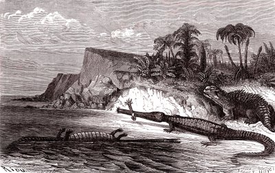 De Teleosaurus en de Hyleosaurus door Edouard Riou