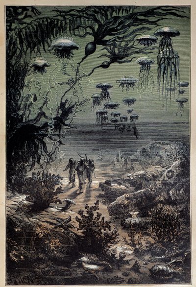 Onderwaterwereld. Illustratie door Edouard Riou voor de roman 