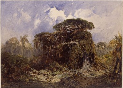  door Eduard Hildebrandt