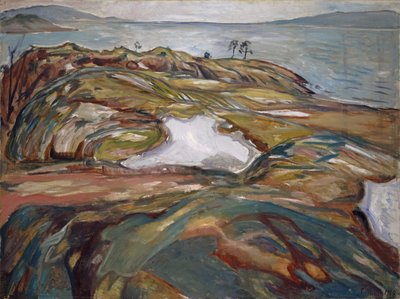 Kustlandschap door Edvard Munch