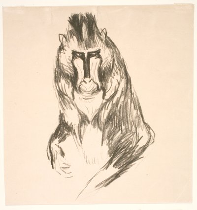 Gorilla (Mandril) door Edvard Munch