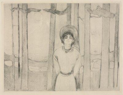 Zomernacht  (The Voice) door Edvard Munch