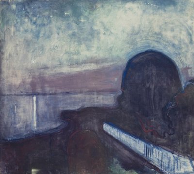 De Sterrennacht door Edvard Munch