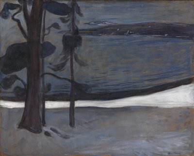 Winter in Nordstrand door Edvard Munch
