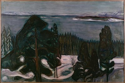 Winternacht door Edvard Munch
