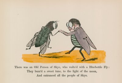 Er was een oude persoon uit Skye, die walste met een blauwe flesvlieg door Edward (after) Lear