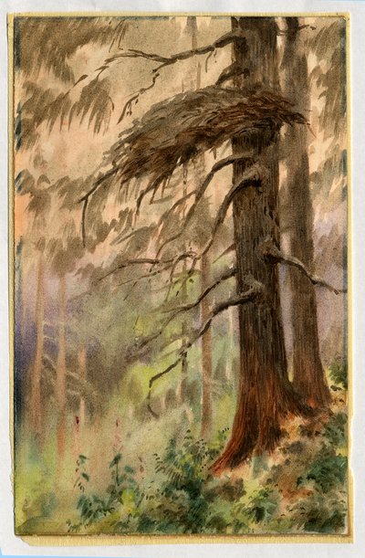 Havikennest door Edward Adrian Wilson