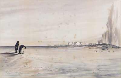 De keizerspinguïnkolonie, Kaap Crozier door Edward Adrian Wilson