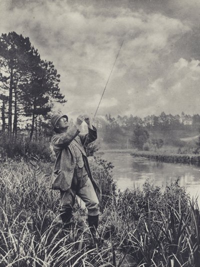 Een Knoopachtig Punt door Edward Alfred Barton