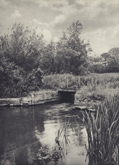 Een kleine vervoerder op het Ramsbury Water door Edward Alfred Barton