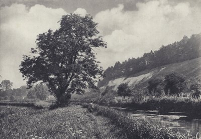 De grote as op de hoofdtransporteur, Leckford door Edward Alfred Barton