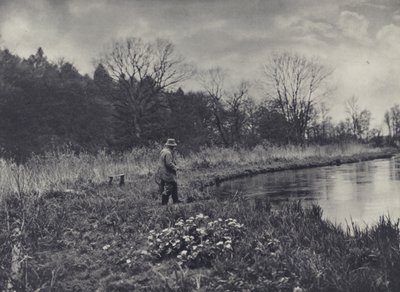 De eerste Kingcups van de lente door Edward Alfred Barton