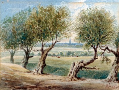 Laatste overblijfsel van de rivier Fleet, ...aan de oostkant van Fleet Road, Hampstead, 1880 door Edward Arthur Heffer