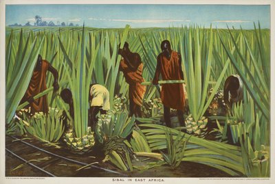 Sisal in Oost-Afrika, uit de serie 